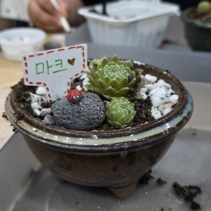 아기다육 화분 만들기